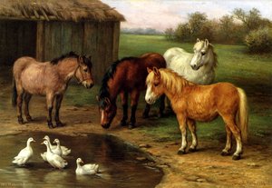 Ponies by a pond