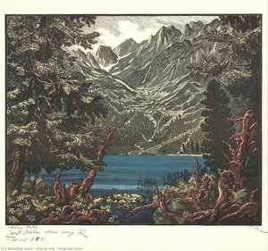 Poprad Tarn — Karel Vik, Expressionism