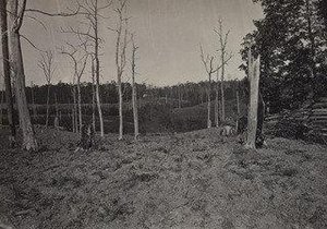 The Battle Ground Of Resaca, No. 1 From The Album Photographic Views Of Sherman's Campaign — George Grey Barnard