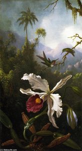 Two Hummingbirds Above A White Orchid — Martin Johnson Heade, Luminist Landscape