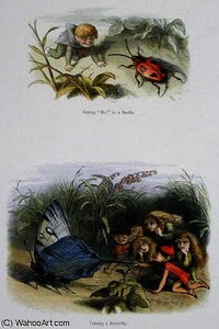 Saying 'Bo!' to a Beetle