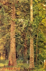Firry Forest (etude) — Ivan Ivanovich Shishkin