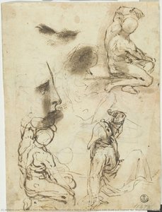 Three Studies And A Sketch Of A Male Figure Both Nude And Clothed (for “stigmatization Of Saint Francis”, Urbino, Galleria Nazionale Delle Marche); Profile — Federico Fiori Barocci, Baroque Mannerism