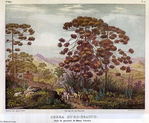 Serra Ouro-branco — Johann Moritz Rugendas