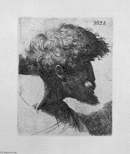 Old Man`s Head In Profile — Giovanni Battista Piranesi