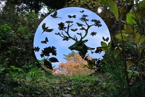 Peek Into The Forest, Hole Of The Mountain — Funai Misa