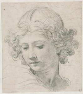 Study For The Head Of St. Michael — Pietro Da Cortona