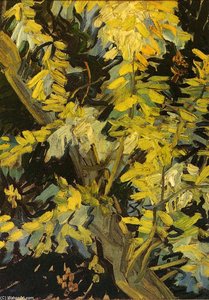 Blossoming Acacia Branches — Vincent Willem Van Gogh
