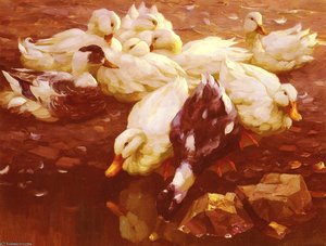 Enten Am Teich — Alexander Max Koeste