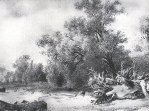 Oaks Under Sestroretsk — Ivan Ivanovich Shishkin