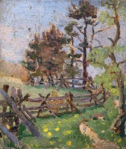 Study Of A Fence — Elizabeth Muntz