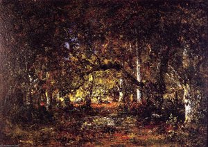 Forest interior