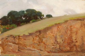 Hillside — Benjamin Haughton