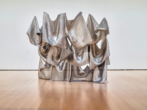 Object For Reflection — Alyson Shotz