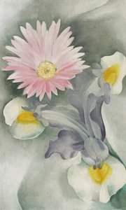 Pink Daisy With Iris — Georgia O'keeffe