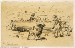 Picador