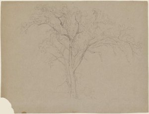 Large Tree — Jasper Francis Cropsey