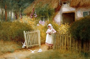 Feeding The Doves