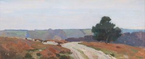 View Near East Downe — Benjamin Haughton