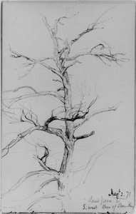 Dead Pine, Storm King — Daniel Huntington
