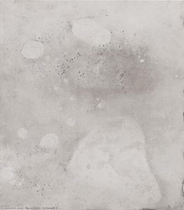 Embryos 4 — Paula Klien