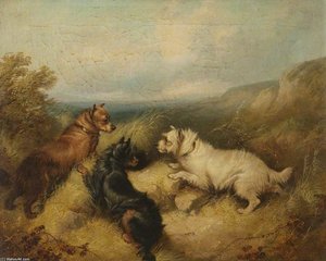 Three Dogs — George Armfield (smith)