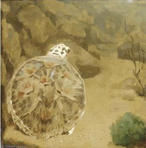 A Turtle — Gerrit Willem Dijsselhof