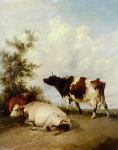 Cows In A Meadow — Thomas Sidney Cooper