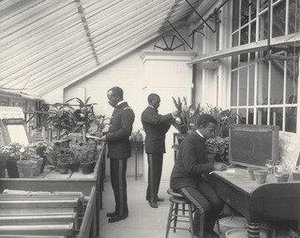 Agriculture. Plant Life Experiments With Plants And Soil — Frances Benjamin Johnston