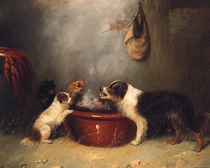 A Spaniel With Terriers At A Trough In A Barn — George Armfield (smith)
