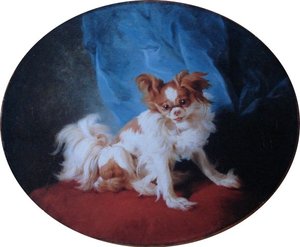 Portrait of a King Charles Spaniel
