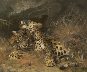 Leopard Cubs — Cuthbert Edmund Swan
