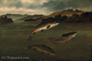 Trout Rising — A. Roland Knight