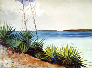 Spanish Bayonets — Winslow Homer