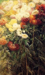 Chrysanthemums, Garden At Petit Gennevilliers — Gustave Caillebotte