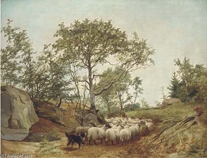 Counting The Sheep — James Stark