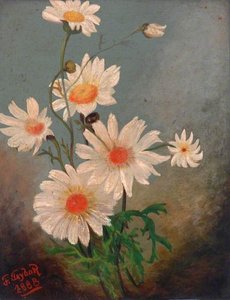 White Flowers — Frank Taylor