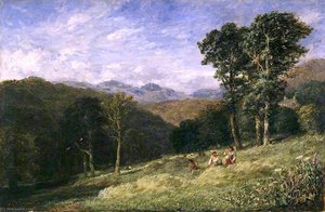 Haymaking near Conway