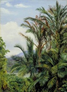 Sago Palms In Flower With A Glimpse Of The River At Sarawak, Borneo — Marianne North, Victorian Botanical Painting