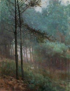Study Of Fir Wood — Benjamin Haughton