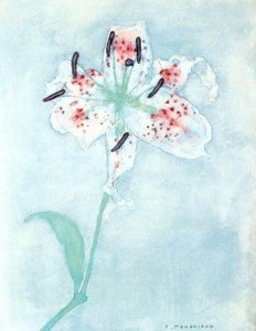 Lily, After — Piet Mondrian