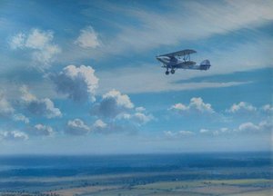 Morning Sunshine A Hawker Hart — Roy Anthony Nockolds