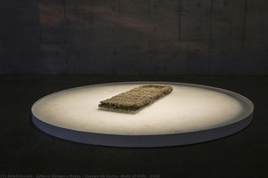 Cuerpo De Leche (body Of Milk) (2020) — Juliana Góngora Rojas