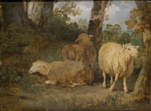 Sheep — James Ward