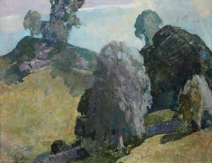 Landscape at Little Borland