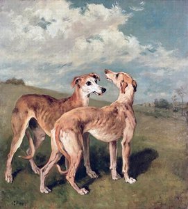 Greyhounds — John Emms