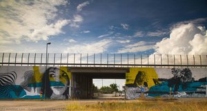 Campagna Salentina — Francesco Ferreri