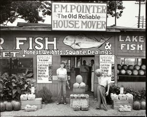 Roadside Stand, vicinity Birmingham, Alabama
