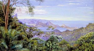 View Of The Bay Of Rio And The Sugar Loaf Mountain, Brazil — Marianne North, Victorian Romantic Landscape Painting