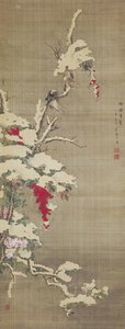 Gray Starling on Sacred Bamboo
